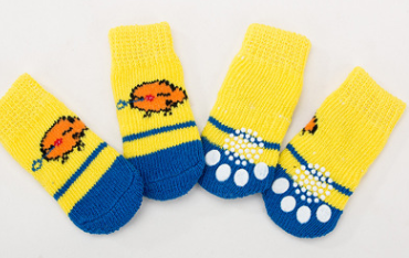 Pet bear bear scratch socks