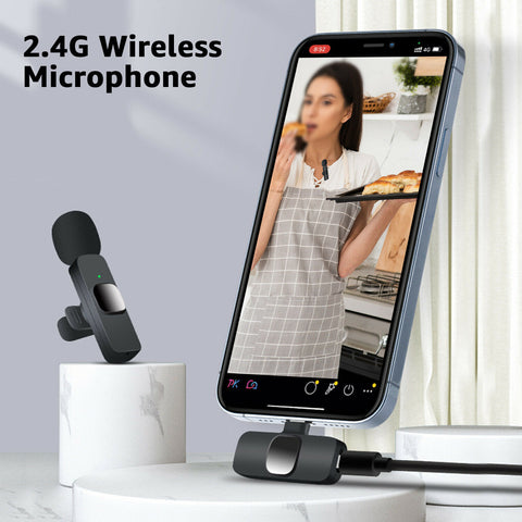 Microphones Set Short Video Recording Chargeable Handheld