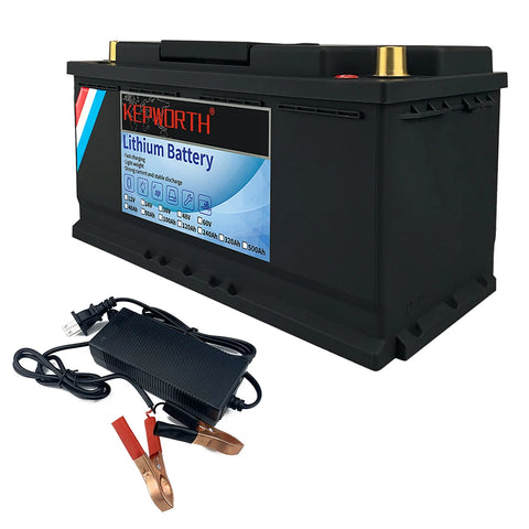 Lithium Iron Phosphate Battery With BMS  For Golf Cart