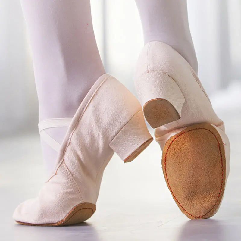 Women Dance Shoes Girls Ballet Jazz Salsa Shoes