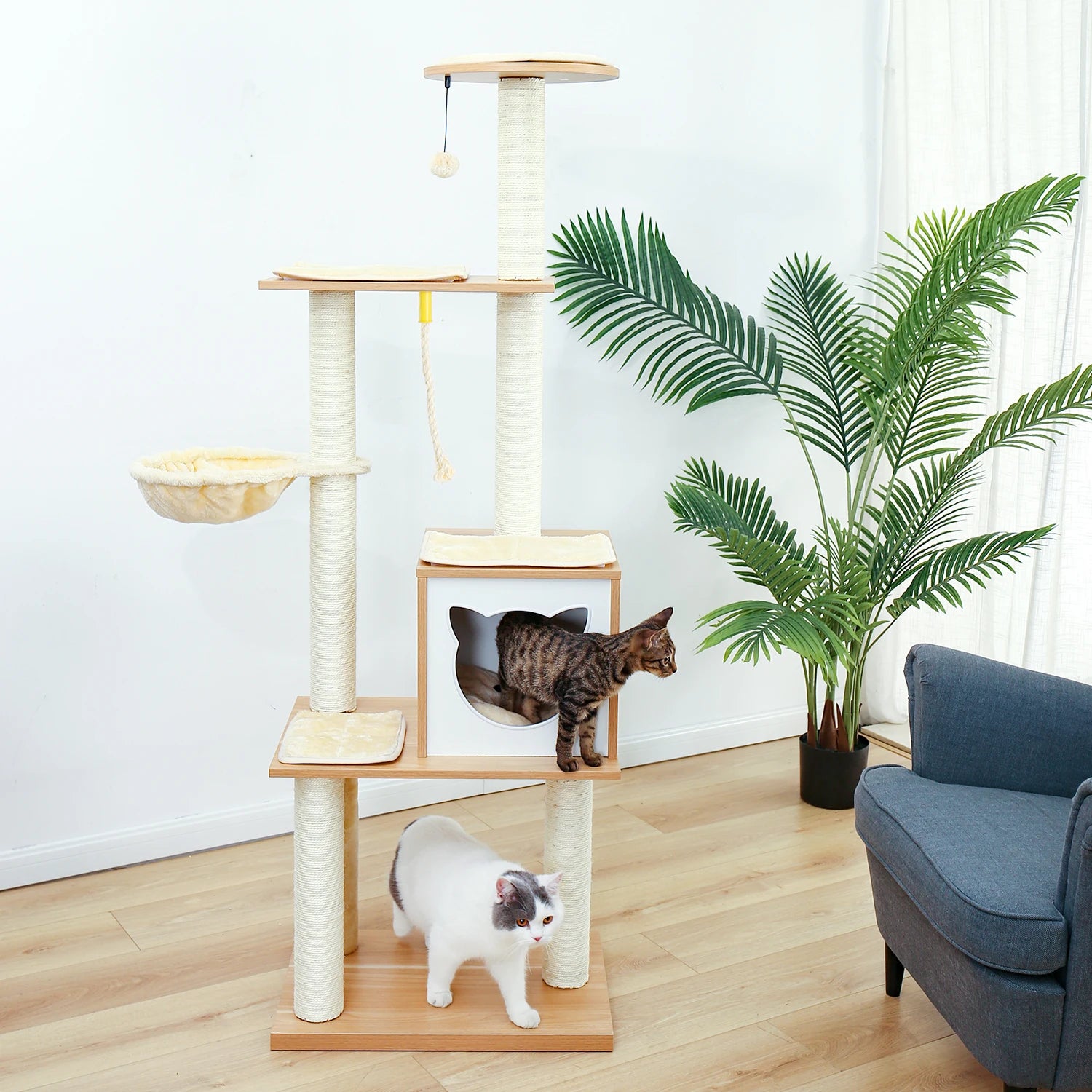 Cat Furniture with Removable and Washable Mats for Kitten Large Cats