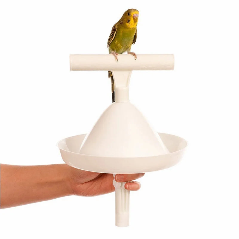 CAITEC Parrot Stand Bird Toys Portable Perch and Training Tool Light Weight Bird Stand Safe Sturdy Tool for All Sizes Parrots