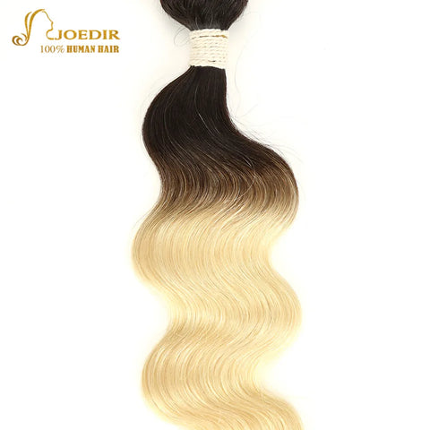 Pre-Colored Brazilian Remy Hair