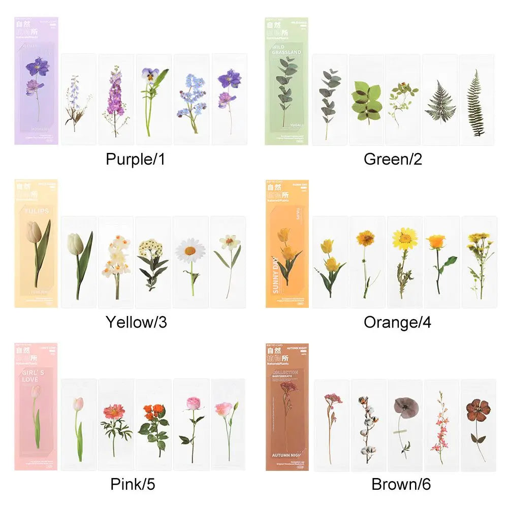 Book Note Marker PET Page Holder Reading Mark Bookmarks Card Translucent Flower Nature Plants Bookmarks Specimen Bookmarks