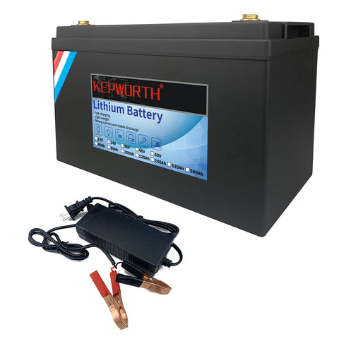 Lithium Iron Phosphate Battery With BMS  For Golf Cart