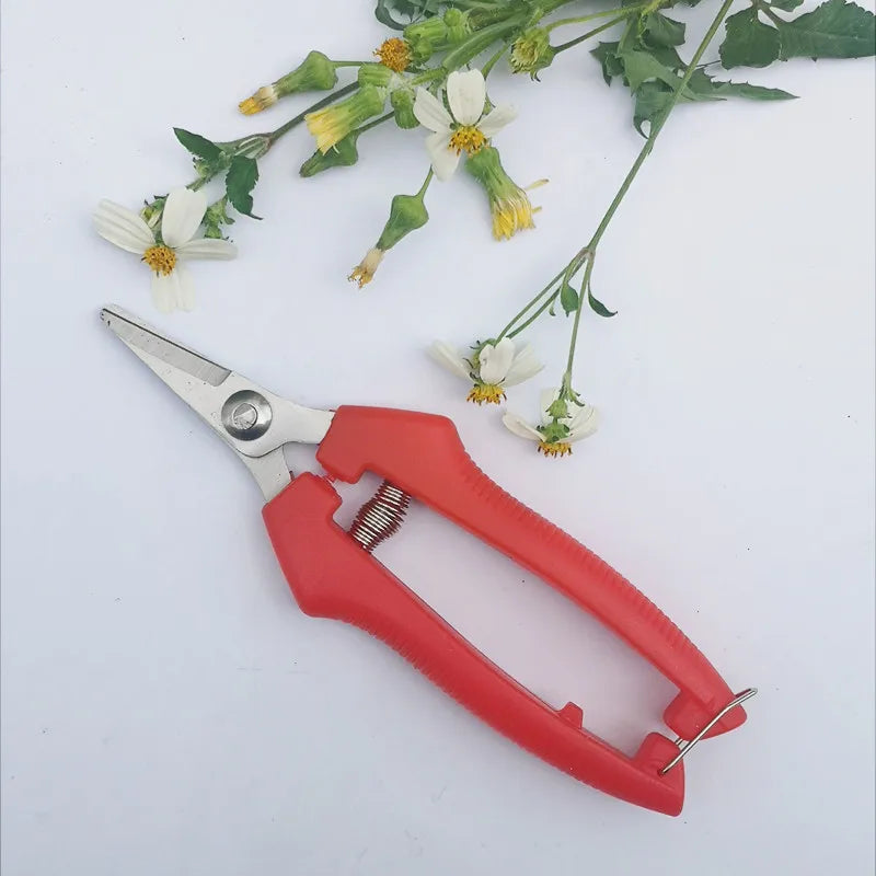 Garden Pruning Shears Potted Branches Scissors Fruit Picking Small Scissors Household Hand Tools Orchard Farm Gardening Tools