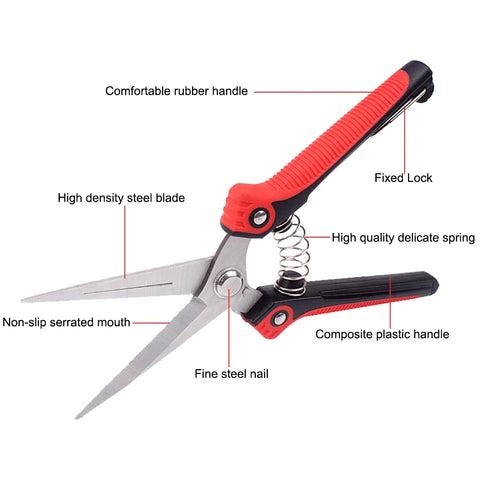 RDDSPON Pruning Shear Branch Scissors Stainless Steel Non-Slip Handle Sharp Garden Fruit Tree Pruning Very Sharp Garden Tools