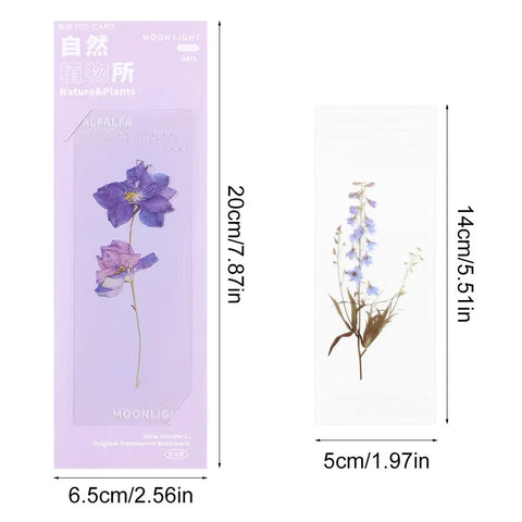 Book Note Marker PET Page Holder Reading Mark Bookmarks Card Translucent Flower Nature Plants Bookmarks Specimen Bookmarks