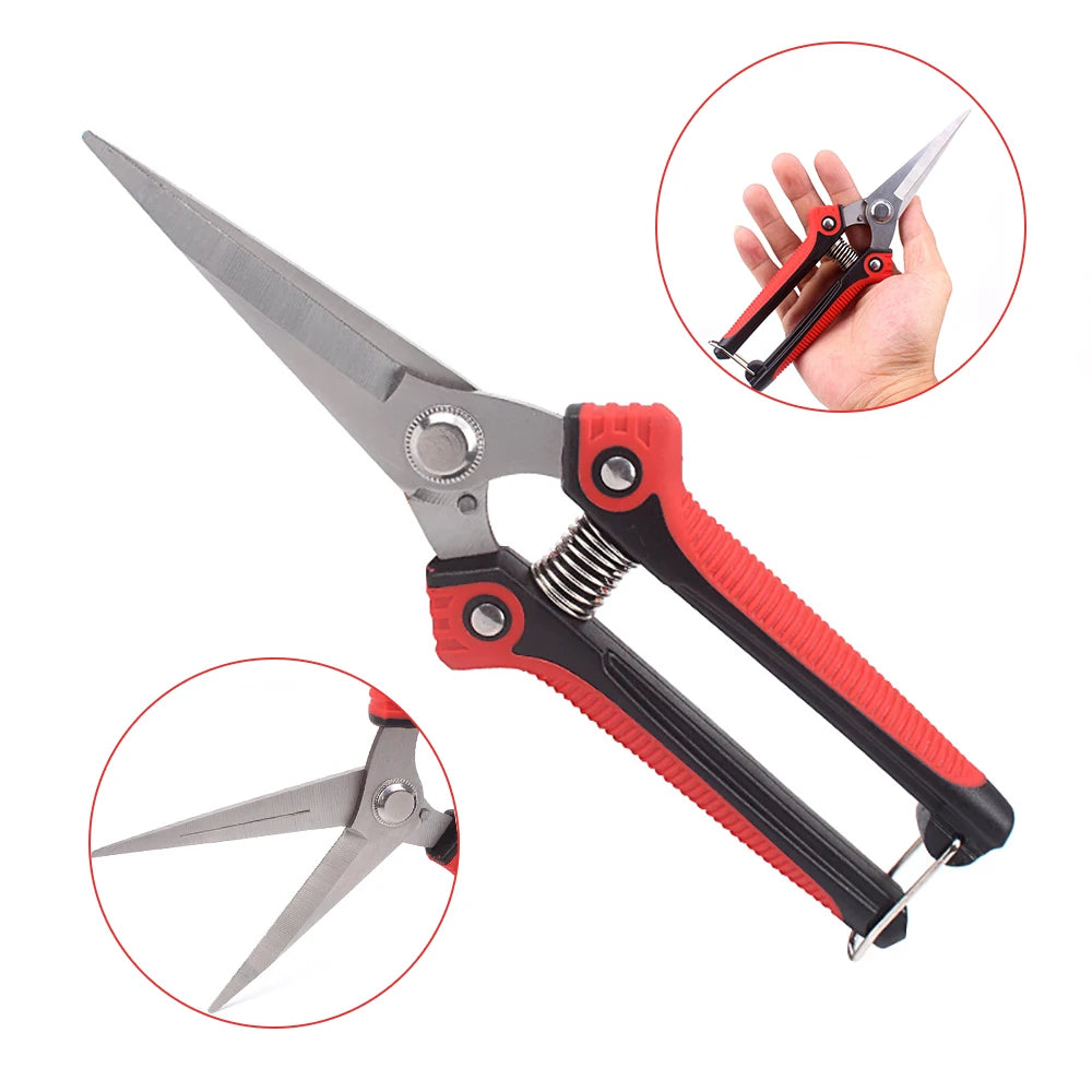 RDDSPON Pruning Shear Branch Scissors Stainless Steel Non-Slip Handle Sharp Garden Fruit Tree Pruning Very Sharp Garden Tools