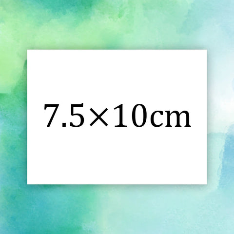 49136752558356|49136752754964|49136752787732