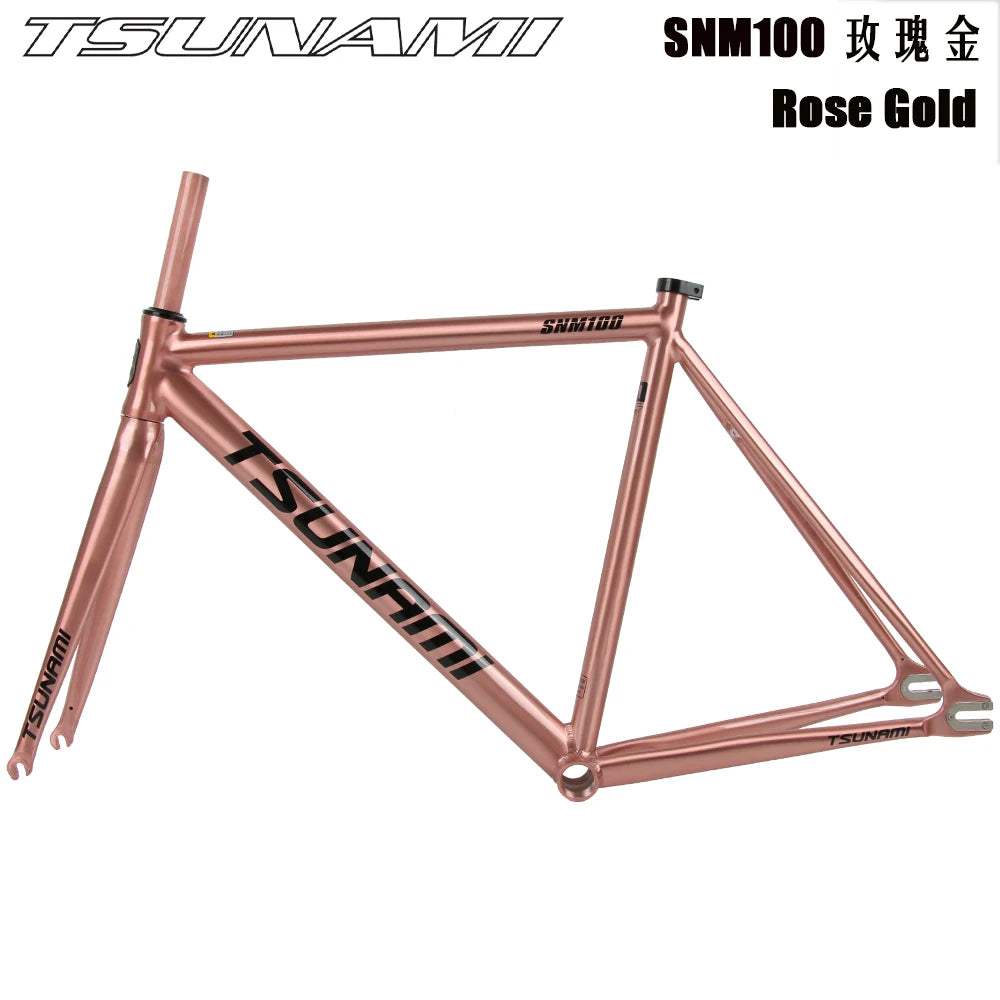 High Quality Single Speed Bicycle Frameset