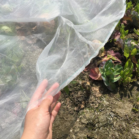 Plant Vegetables Insect Protection Net Garden Fruit Tree Care Covers Flowers Protective Net Greenhouse Pest Control Anti-Bird