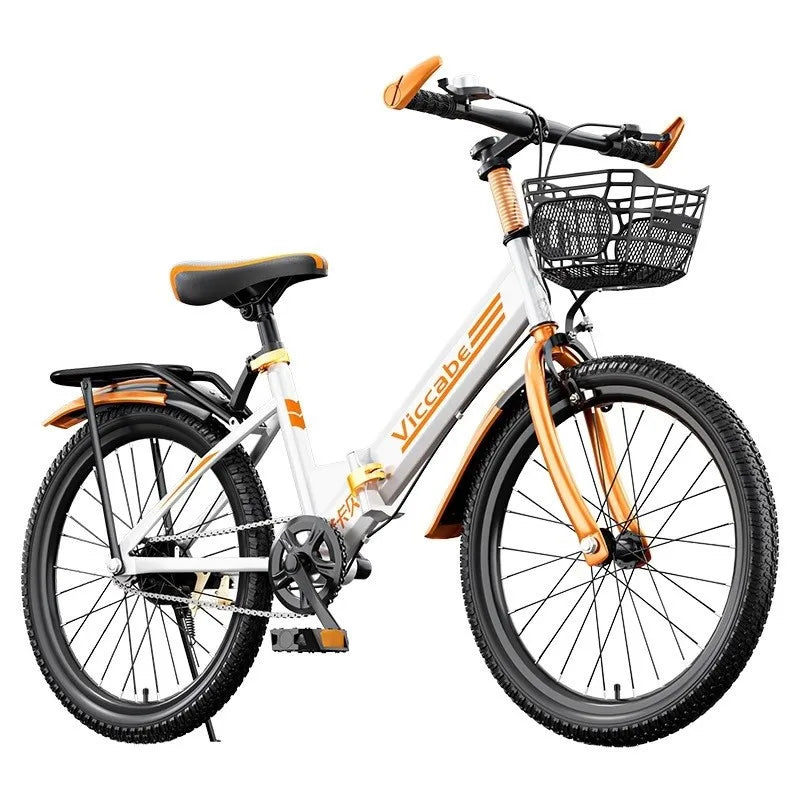 FJ Classic Mountain Bike Is 20 Inch Aluminum Alloy Folding Variable Speed Bicycle For Teenagers Suitable For Older Children 2024