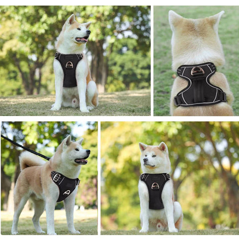 2 Leash Clips Adjustable Soft Padded Dog Vest