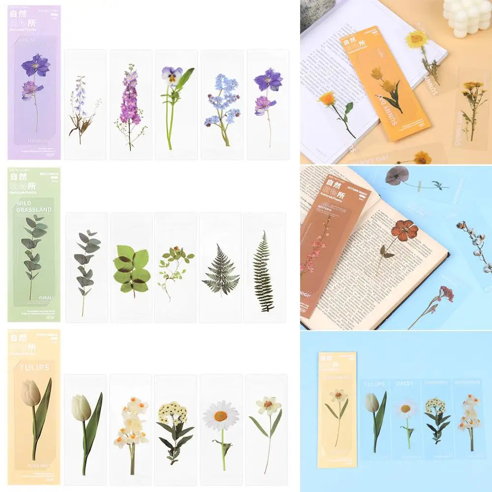 Book Note Marker PET Page Holder Reading Mark Bookmarks Card Translucent Flower Nature Plants Bookmarks Specimen Bookmarks