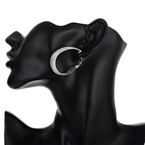 Silver Hoop Earrings For Women