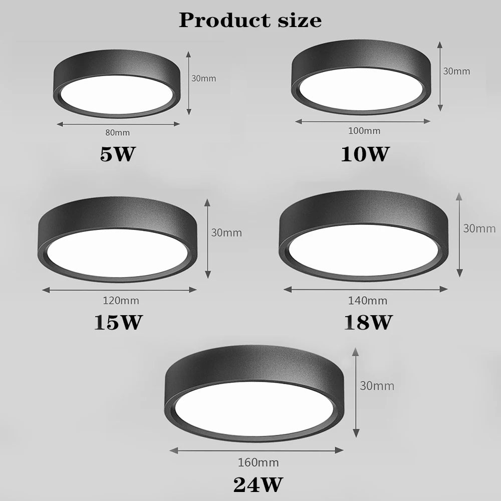 LED Ceiling Light Surface Mounted Downlight Ceiling Lamp