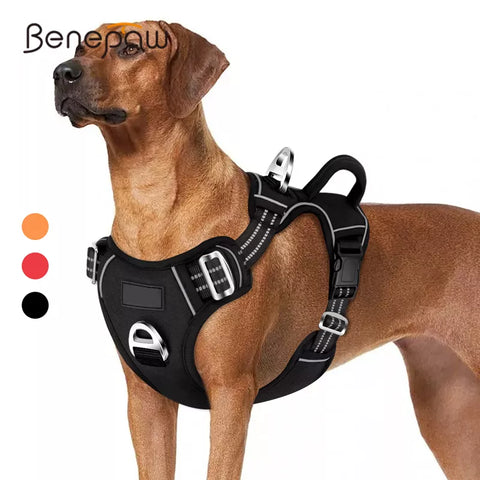 2 Leash Clips Adjustable Soft Padded Dog Vest