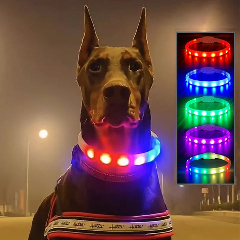 Silicone Led Dog Collar Usb Rechargeable Luminous Dog