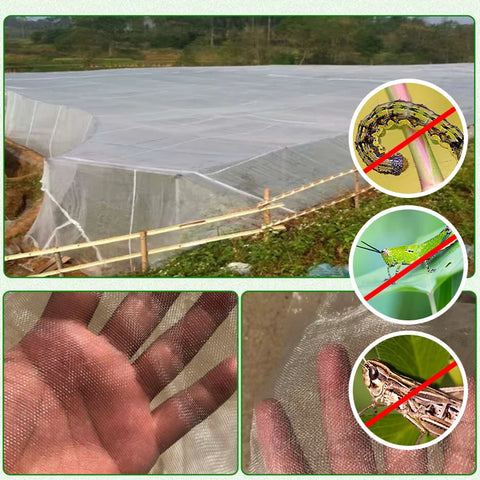 Plant Vegetables Insect Protection Net Garden Fruit Care Cover Flowers Greenhouse Protective Net Pest Control Anti-Bird 60 Meshs