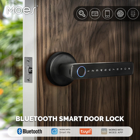 Bluetooth Smart Fingerprint Door Handle