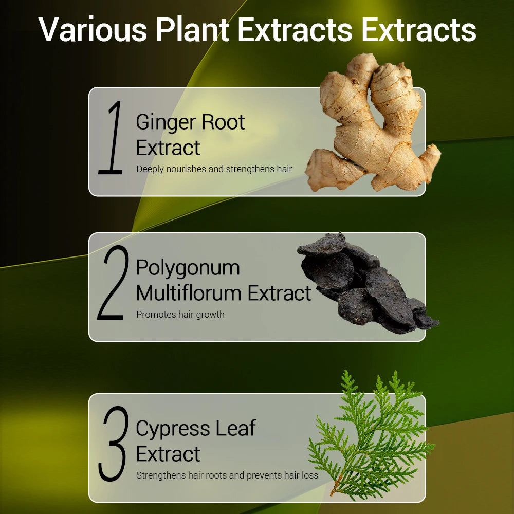 Ginger Plant Extract Anti-Hair Loss Hair Shampoo