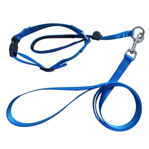 Gentle Leader Harness Dog Halter Halti Training Head