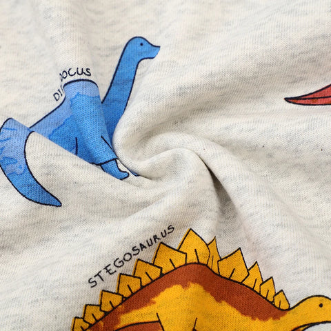 Cartoon Dinosaurs Sweatshirt Spring Autumn Tops Hoodies