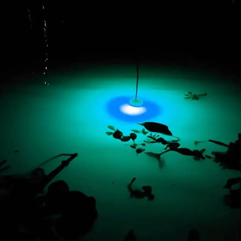 6cm Mini LED Deep Drop Underwater Fishing Light Squid Fish Lure Lights Lamp Flash Fishing Products Outdoor Fishing Accessoy