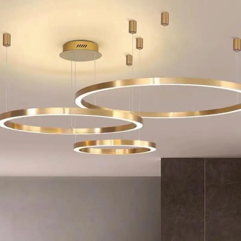 2024 Minimalist Modern Led Chandelier Home Lighting Brushed Rings Ceiling Mounted Acrylic Hanging Lamp Black&coffee Color