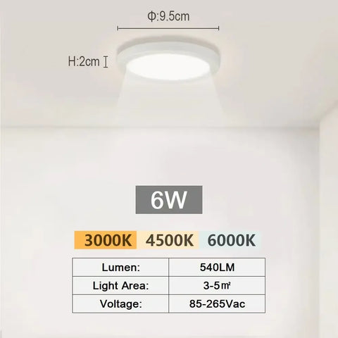 Modern LED Ceiling Light Chandelier Three Colors Lamp Surface Installation Indoor Lighting Fixtures Hallway Balcony Aisle Office